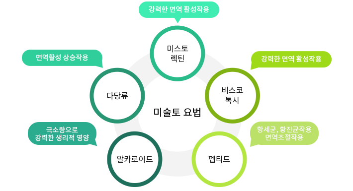 통합의학(integrative medicine)에 대해 설명하는 그림