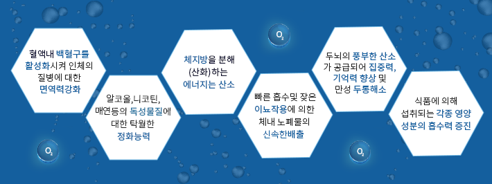 통합의학(integrative medicine)에 대해 설명하는 그림